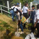 Evento sembratón