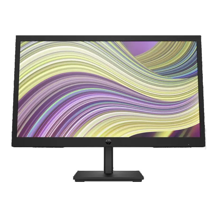 Monitor HP P22v G5 - Vista Frontal