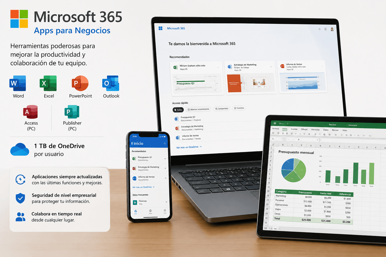 SPP-00005 LICENCIA OFFICE