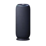 Motorola Moto Sound Flow PANTONE Carbon Negro PG38C07844 - Sonido envolvente con estilo profesional