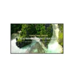 LG 65UL3Q-E Signage 65 pulgadas 4K UHD 350 nits Negro - Señalización profesional sin complicaciones